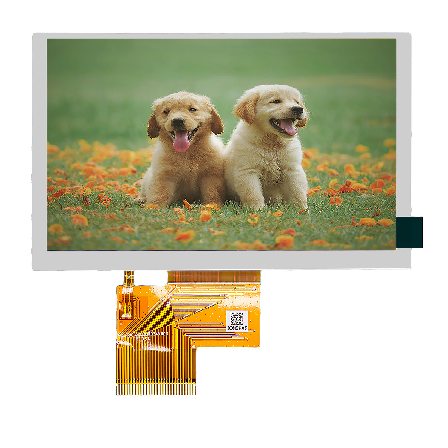 5.0 inch LCD screen