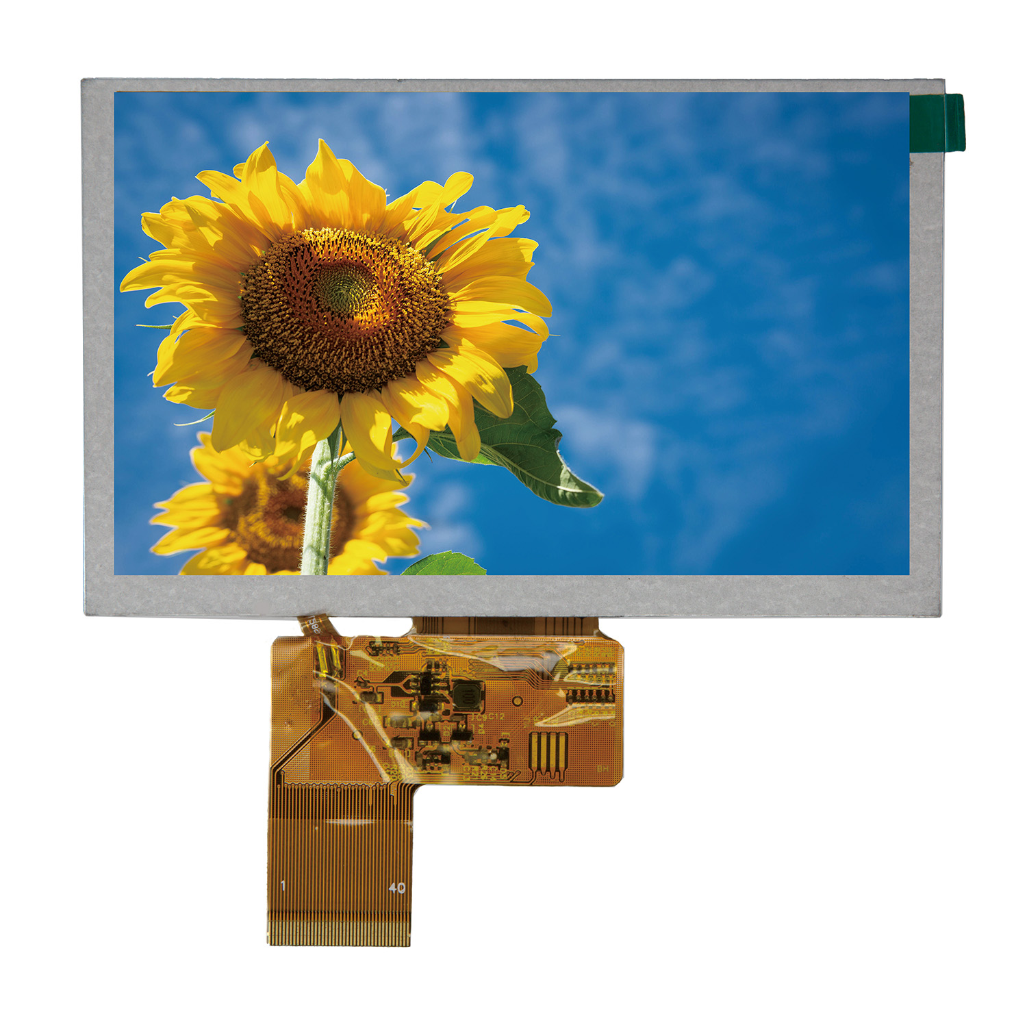 5.0 inch LCD screen