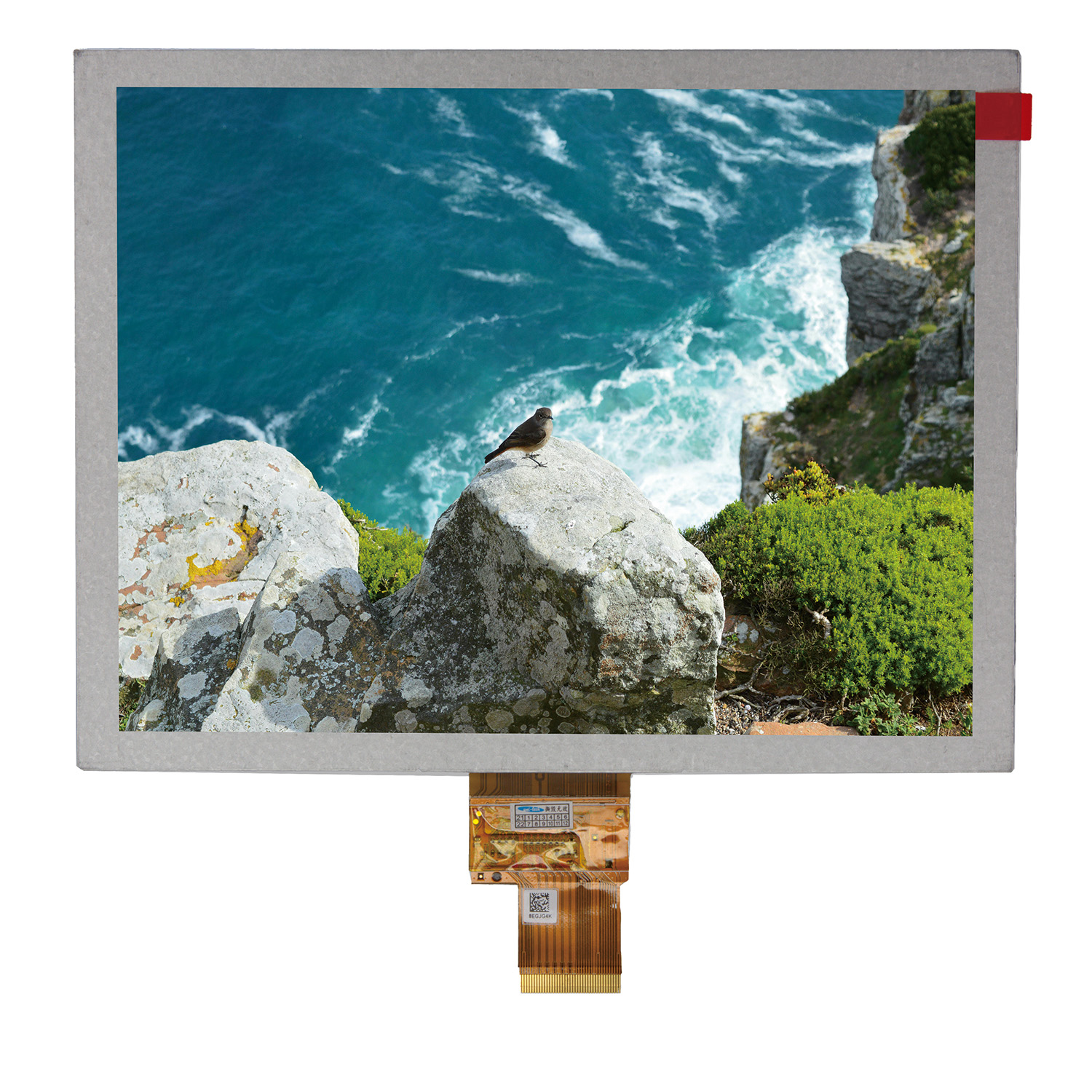 8.0 inch LCD screen